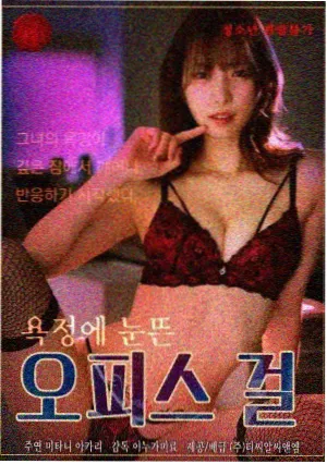 good剧集在线观看 双城谜案 海报